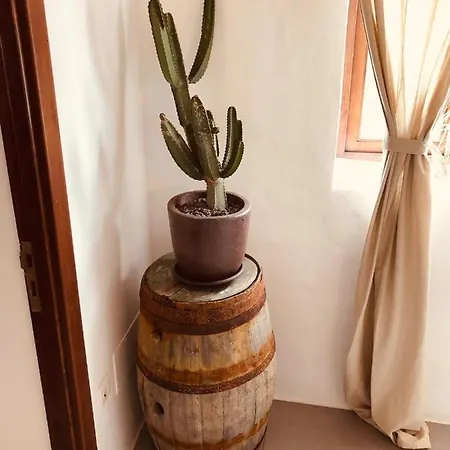 Bodega Botanica Holiday home
